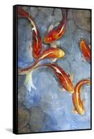 Graceful Koi II-Tim O'toole-Framed Stretched Canvas