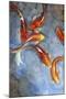 Graceful Koi II-Tim O'toole-Mounted Art Print