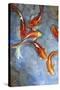 Graceful Koi II-Tim O'toole-Stretched Canvas