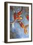 Graceful Koi II-Tim O'toole-Framed Art Print