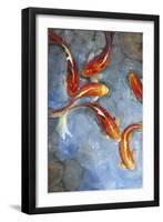 Graceful Koi II-Tim O'toole-Framed Art Print