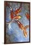 Graceful Koi II-Tim O'toole-Framed Art Print