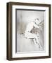 Graceful Lady II-Rikki Drotar-Framed Giclee Print