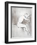 Graceful Lady II-Rikki Drotar-Framed Giclee Print