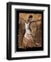 Graceful Motion I-Monica Stewart-Framed Art Print