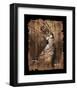 Graceful Motion II-Monica Stewart-Framed Art Print