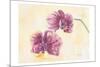 Graceful Orchid-Beverly Dyer-Mounted Art Print