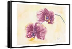 Graceful Orchid-Beverly Dyer-Framed Stretched Canvas