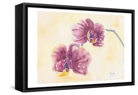 Graceful Orchid-Beverly Dyer-Framed Stretched Canvas