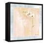 Graceful Orchids IV-Cheri Blum-Framed Stretched Canvas