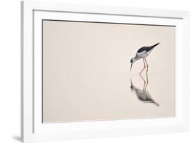 Graceful Reflection-Staffan Widstrand-Framed Giclee Print