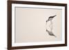 Graceful Reflection-Staffan Widstrand-Framed Giclee Print