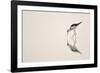 Graceful Reflection-Staffan Widstrand-Framed Giclee Print