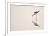 Graceful Reflection-Staffan Widstrand-Framed Giclee Print