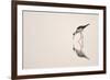 Graceful Reflection-Staffan Widstrand-Framed Giclee Print