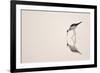 Graceful Reflection-Staffan Widstrand-Framed Giclee Print