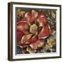 Graceful State II-Douglas-Framed Giclee Print