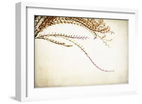 Graceful-Jessica Rogers-Framed Giclee Print