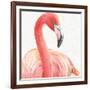 Gracefully Pink II-Lisa Audit-Framed Art Print