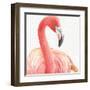 Gracefully Pink II-Lisa Audit-Framed Art Print