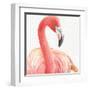 Gracefully Pink II-Lisa Audit-Framed Art Print