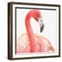 Gracefully Pink II-Lisa Audit-Framed Art Print