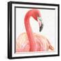 Gracefully Pink II-Lisa Audit-Framed Art Print