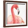 Gracefully Pink II-Lisa Audit-Framed Art Print