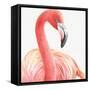 Gracefully Pink II-Lisa Audit-Framed Stretched Canvas