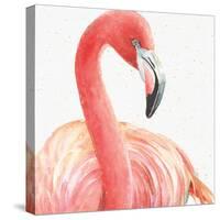 Gracefully Pink II-Lisa Audit-Stretched Canvas