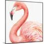 Gracefully Pink III-Lisa Audit-Mounted Art Print