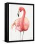 Gracefully Pink IV-Lisa Audit-Framed Stretched Canvas