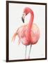 Gracefully Pink IV-Lisa Audit-Framed Art Print