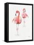 Gracefully Pink IX-Lisa Audit-Framed Stretched Canvas