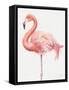Gracefully Pink V-Lisa Audit-Framed Stretched Canvas