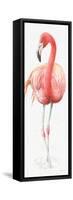 Gracefully Pink VI-Lisa Audit-Framed Stretched Canvas