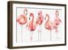 Gracefully Pink VIII-Lisa Audit-Framed Premium Giclee Print