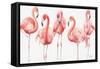 Gracefully Pink VIII-Lisa Audit-Framed Stretched Canvas