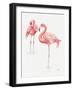 Gracefully Pink X-Lisa Audit-Framed Art Print