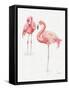 Gracefully Pink X-Lisa Audit-Framed Stretched Canvas
