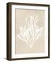 Gracilaria Multipartita - Fawn-Henry Bradbury-Framed Giclee Print