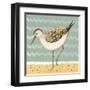 Gracious Greenshank-Catriona Hall-Framed Giclee Print