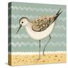 Gracious Greenshank-Catriona Hall-Stretched Canvas