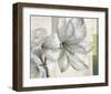 Gracious White-Karsten Kirchner-Framed Art Print