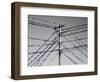 Grackleopolis-John Gusky-Framed Photographic Print