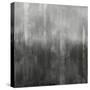 Gradation in Grey-Justin Turner-Stretched Canvas