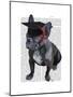 Graduation French Bulldog-Fab Funky-Mounted Art Print