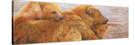 Stretched Canvas