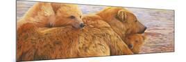 Wood Mount