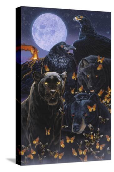 Stretched Canvas Print, , large